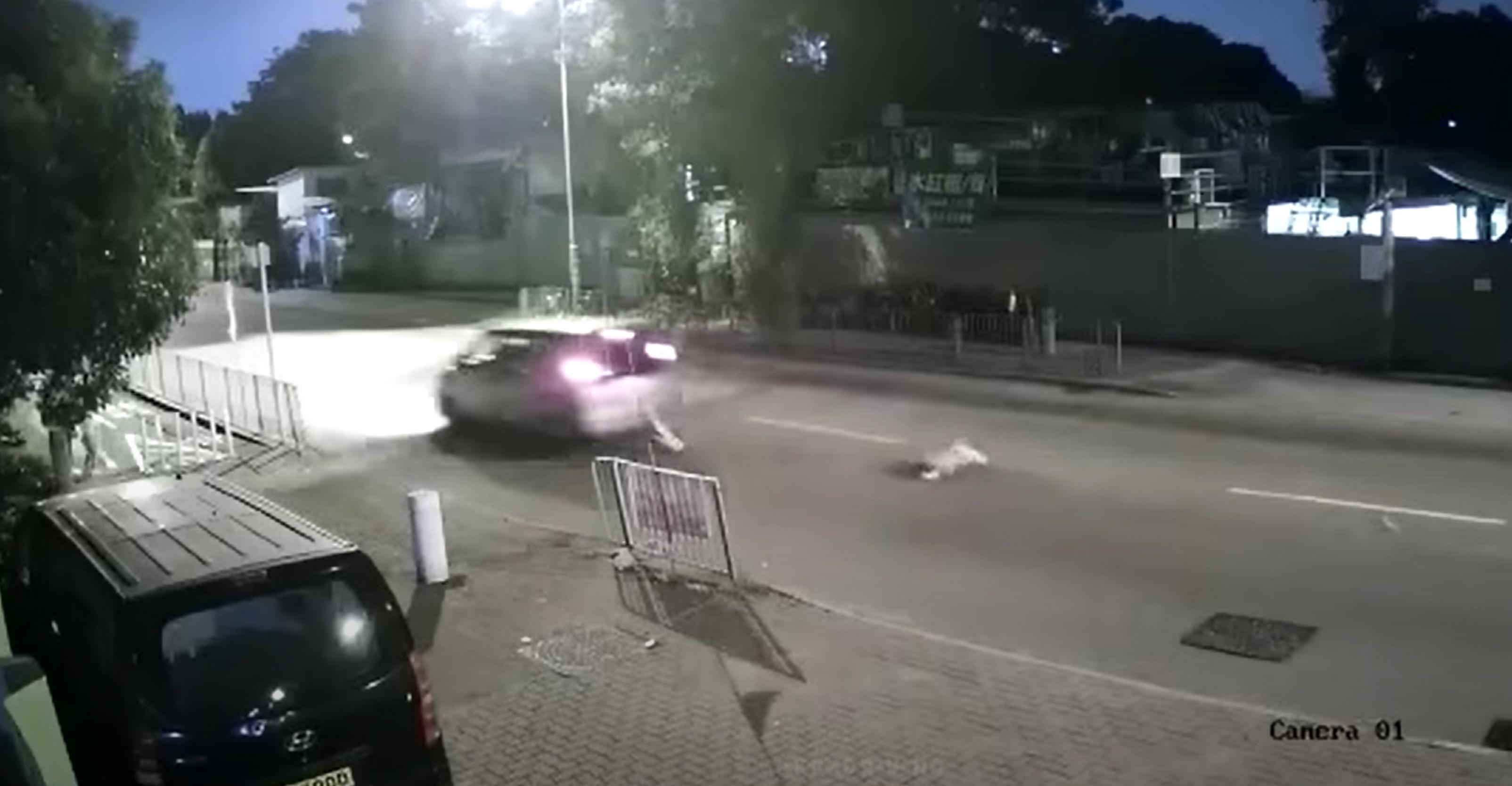 私家車收掣不及撞倒狗,並將狗隻捲入車底拖行數米。(影片截圖)