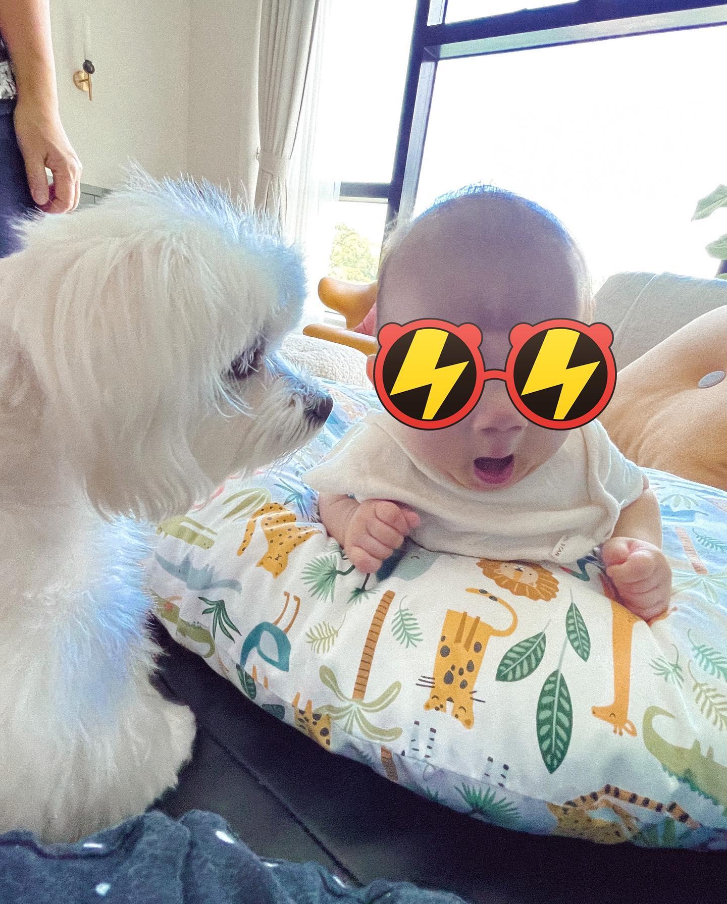 何雁詩大讚B仔的腳頭好。