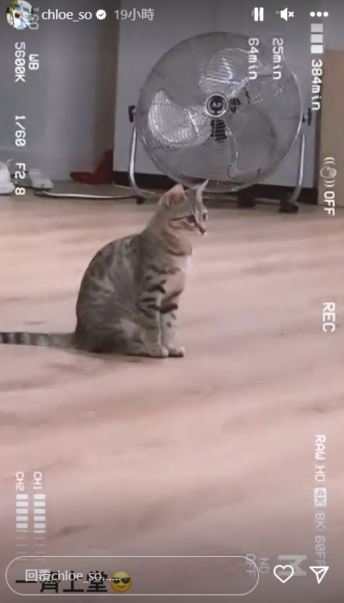 戲劇班的旁聽生。