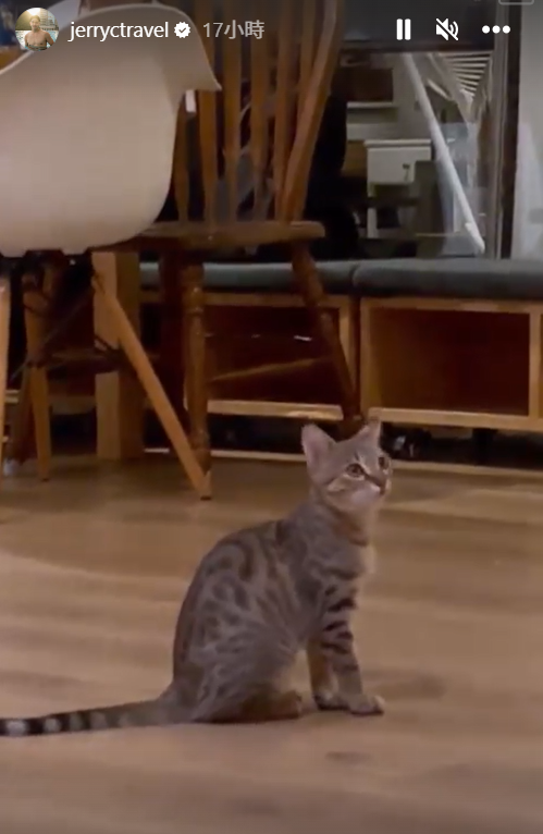 戲劇班的旁聽生。