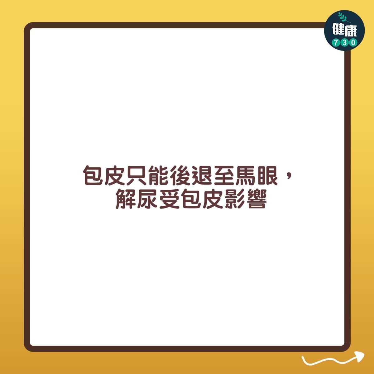 包皮|包皮只能後退至馬眼,解尿受包皮影響