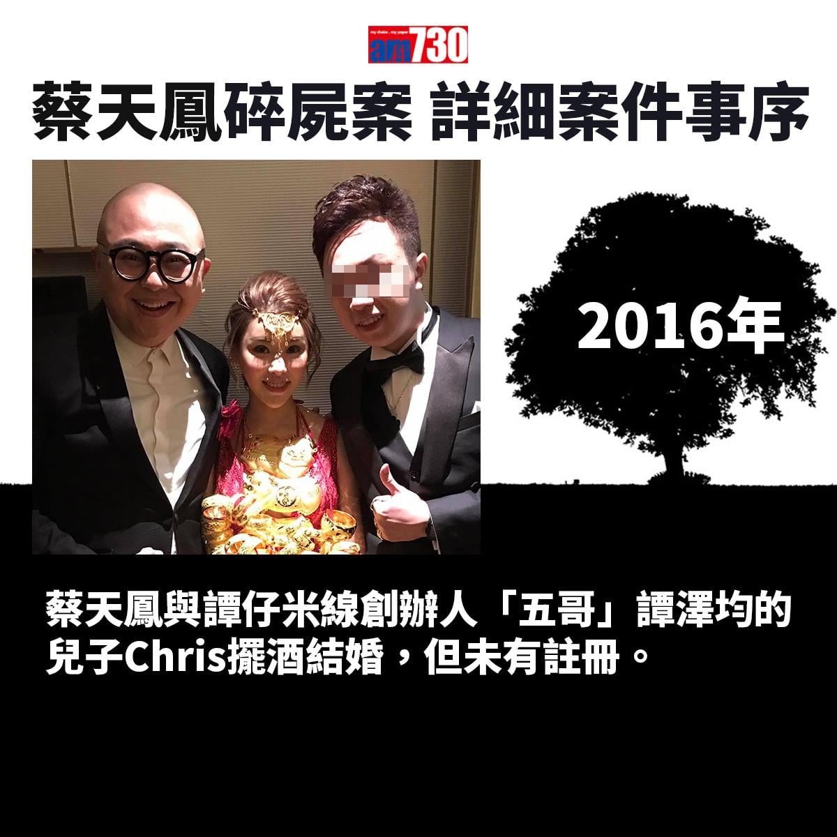 蔡天鳳碎屍案|一文睇清蔡天鳳遇害始末 案件時序一覽