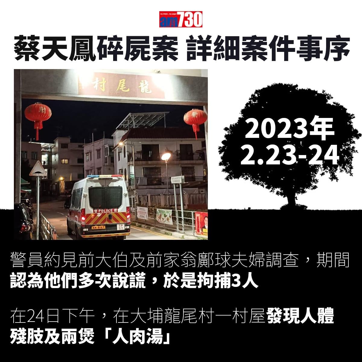 蔡天鳳碎屍案|一文睇清蔡天鳳遇害始末 案件時序一覽