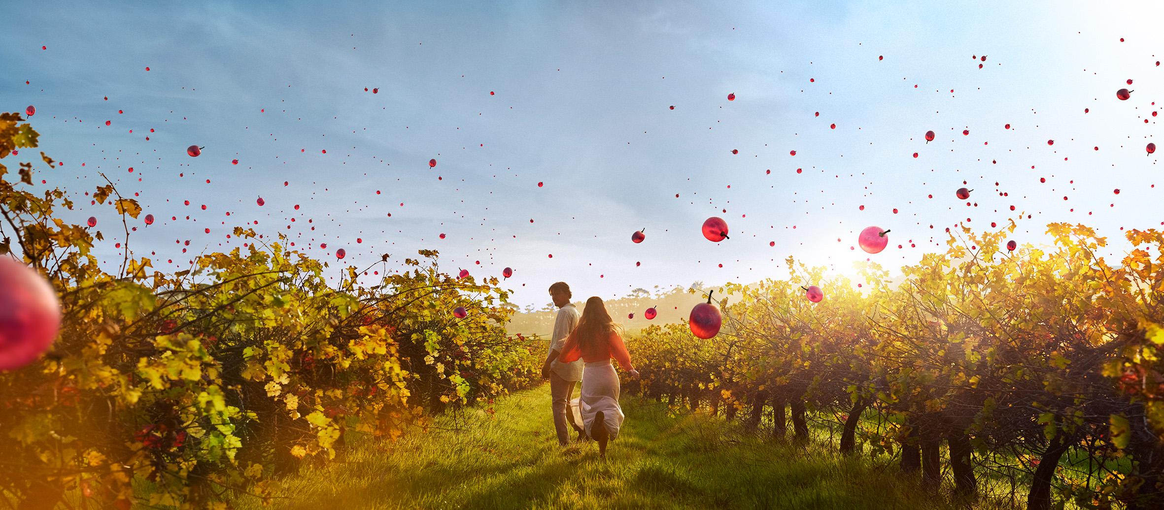 瑪格麗特河 MARGARET RIVER