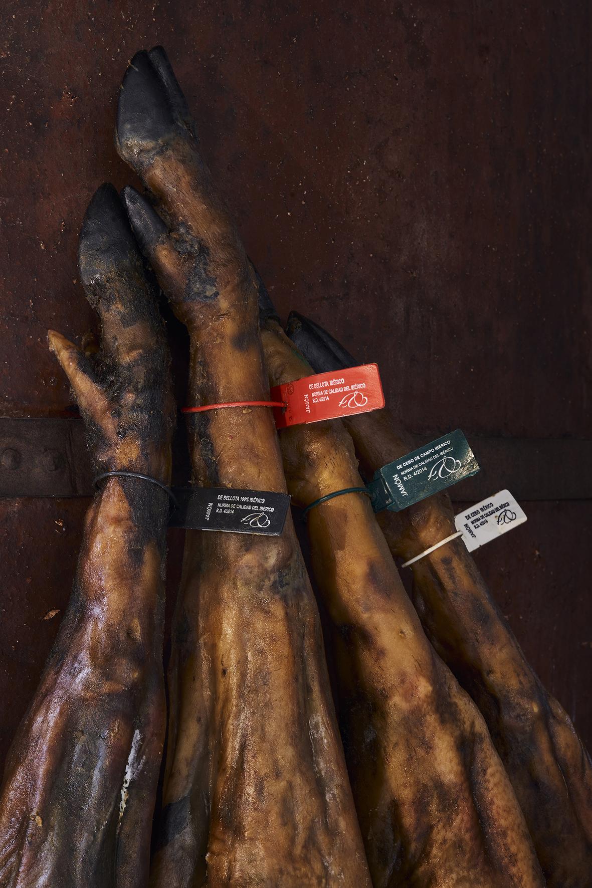 行走的橄欖樹 伊比利亞火腿國際推廣活動(香港站)