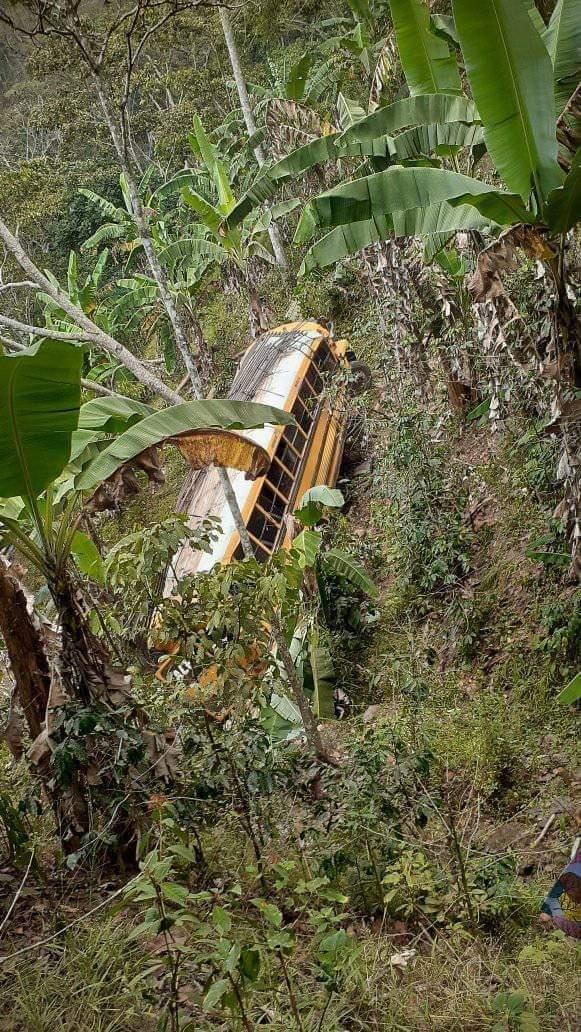 巴士在墜落過程中,撞到多個用作飼養蜜蜂的木製蜂箱。(Twitter)