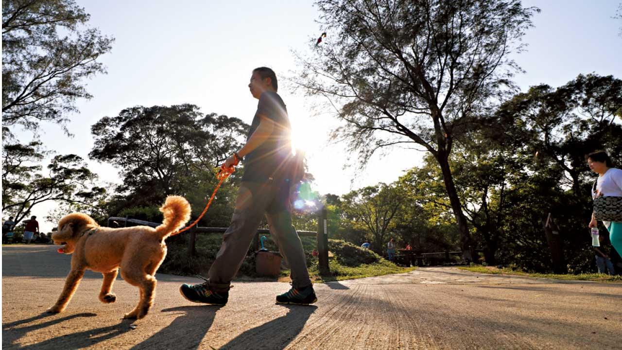 防藍光鏡片|藍光過濾量只及自然光線中藍光的千分之一。