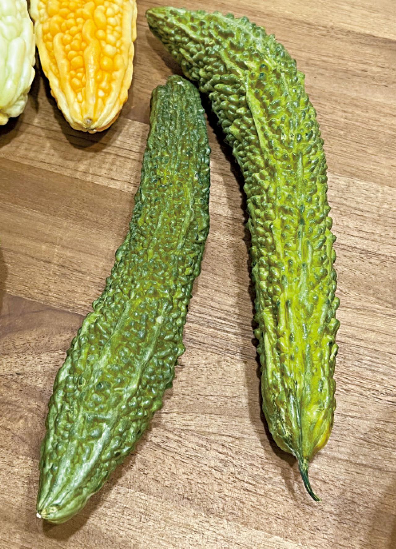 沖繩苦瓜 苦瓜 翠玉苦瓜 哥斯拉苦瓜