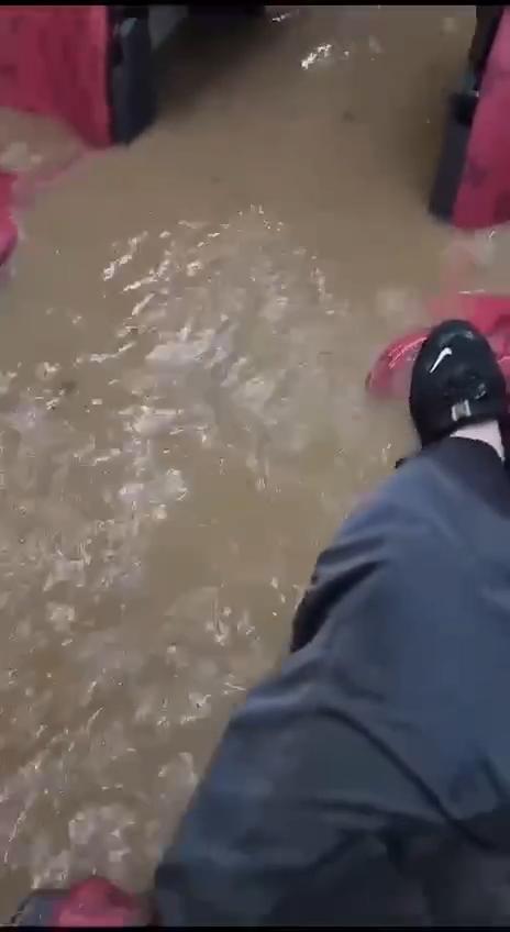 黑雨|巴士內水浸。(網上圖片)