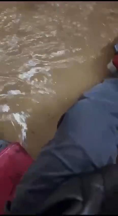 黑雨|巴士內水浸。(網上圖片)