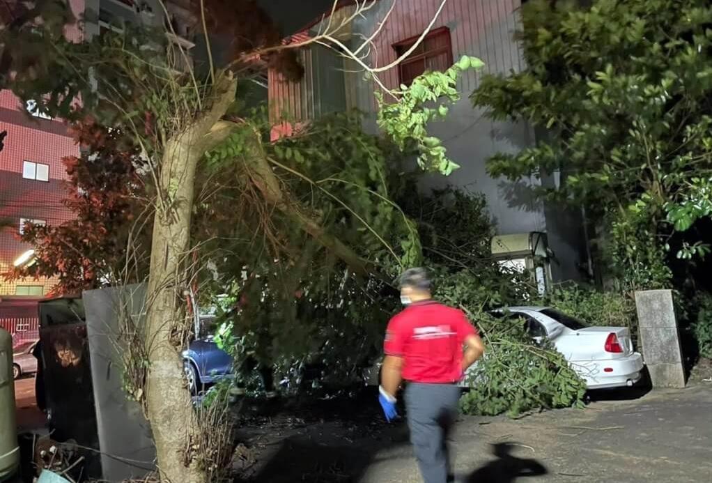 嘉義災情。(互聯網)