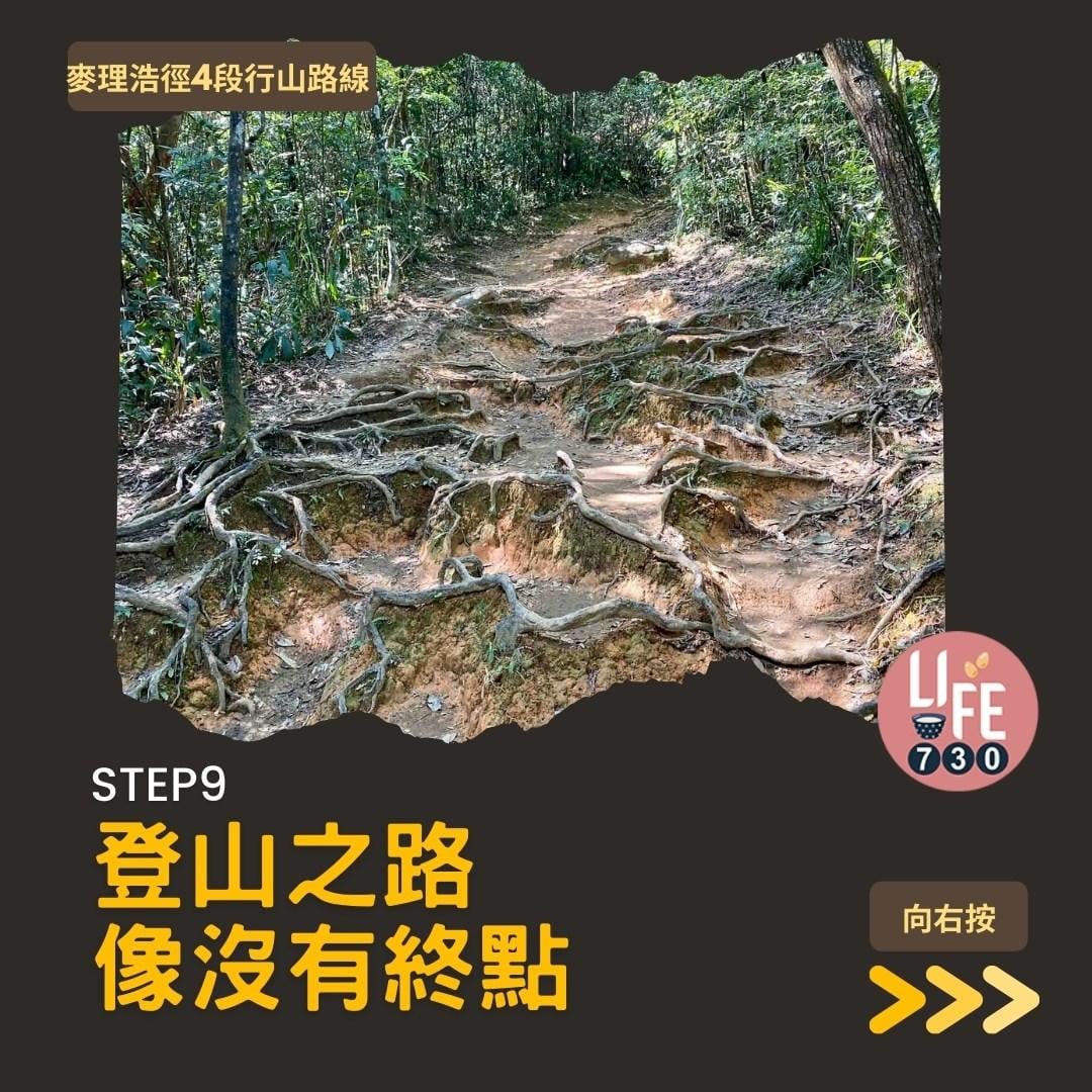 麥理浩徑4段行山路線 水浪窩起步經彎曲山昂平抵基維爾營(am730製圖)