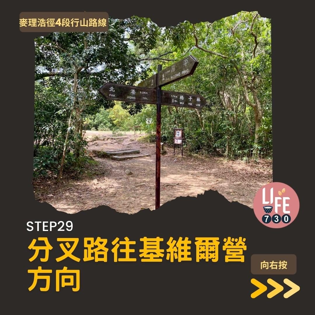 麥理浩徑4段行山路線 水浪窩起步經彎曲山昂平抵基維爾營(am730製圖)