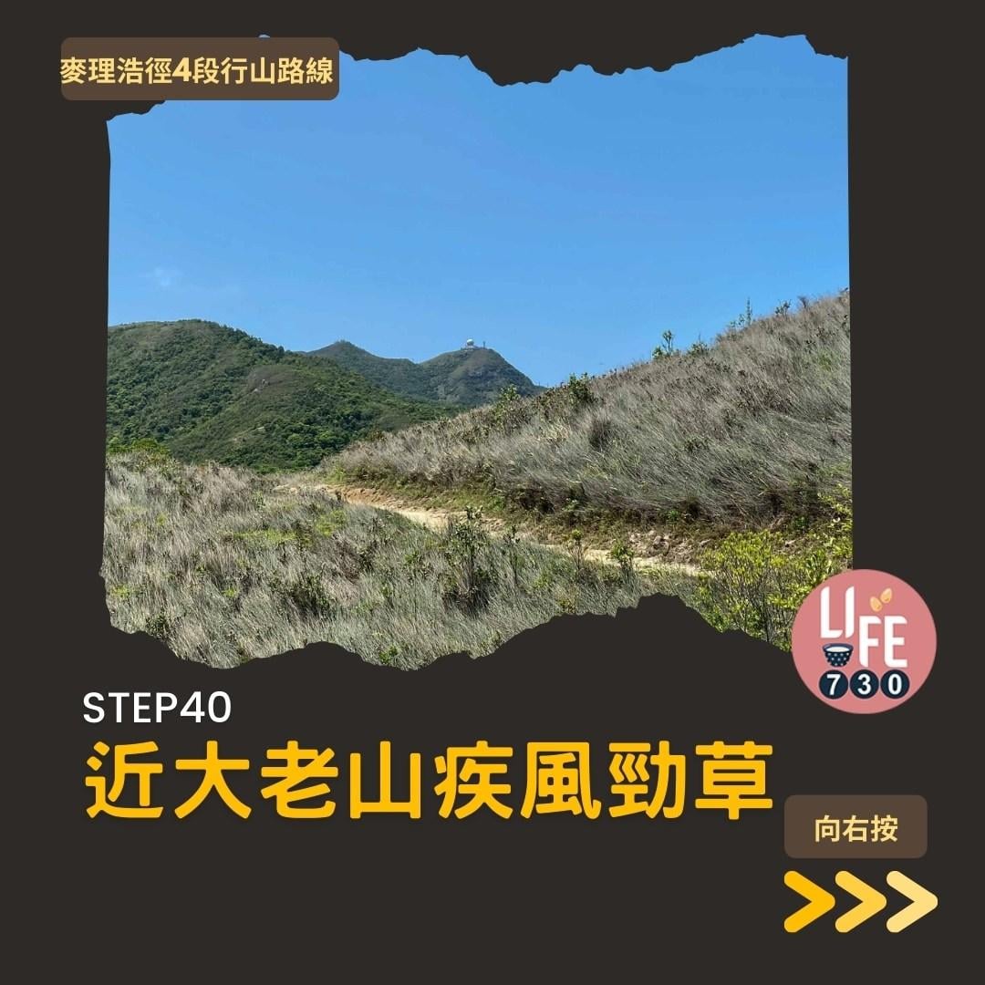 麥理浩徑4段行山路線 水浪窩起步經彎曲山昂平抵基維爾營(am730製圖)