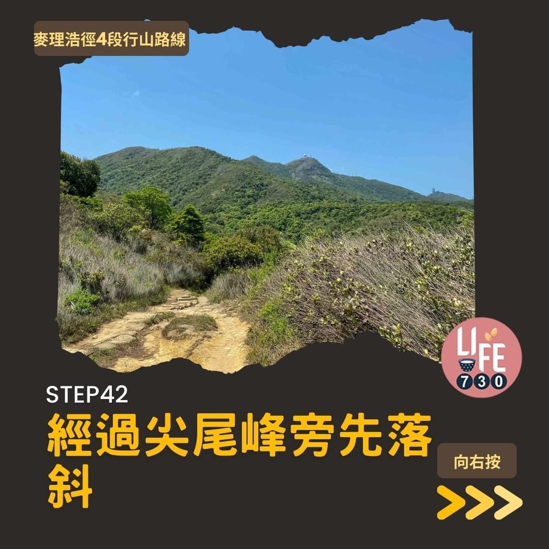 麥理浩徑4段行山路線 水浪窩起步經彎曲山昂平抵基維爾營(am730製圖)