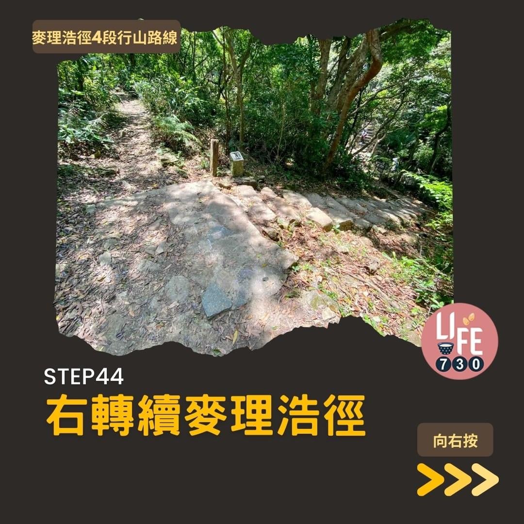 麥理浩徑4段行山路線 水浪窩起步經彎曲山昂平抵基維爾營(am730製圖)