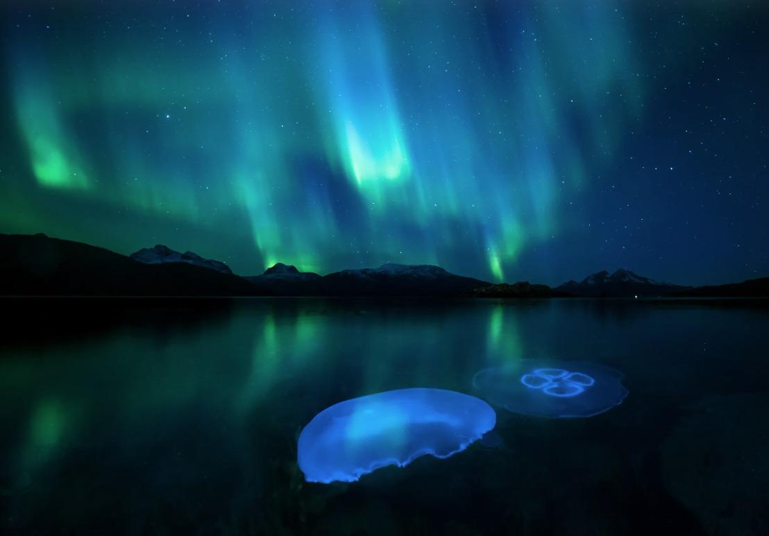 國際野生動物攝影大賽25強作品