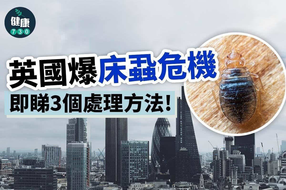 床蝨處理及天敵(am730製圖)