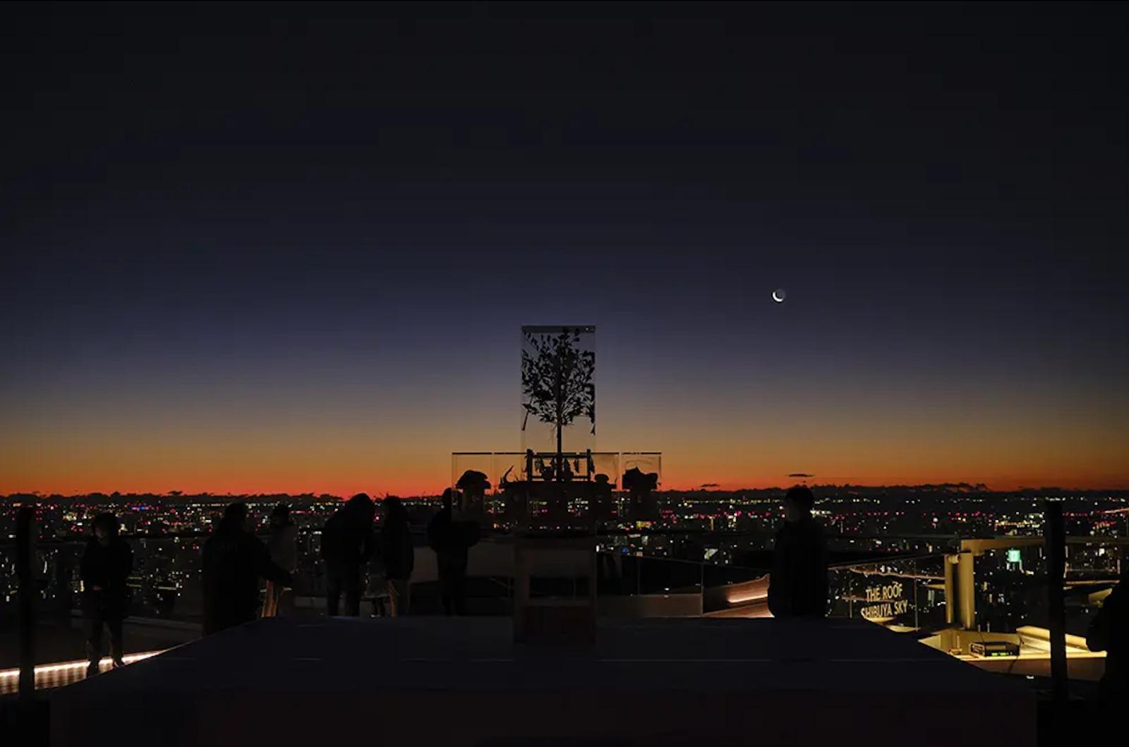 東京大阪自由行|參加初詣要在清晨5:30am入場,一齊等待預計於6:50am上升的元旦日出。(圖片來源: Shibuya Scramble Square)