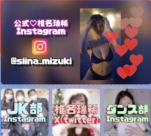 網民搜尋的疑似戶口。(網頁截圖)