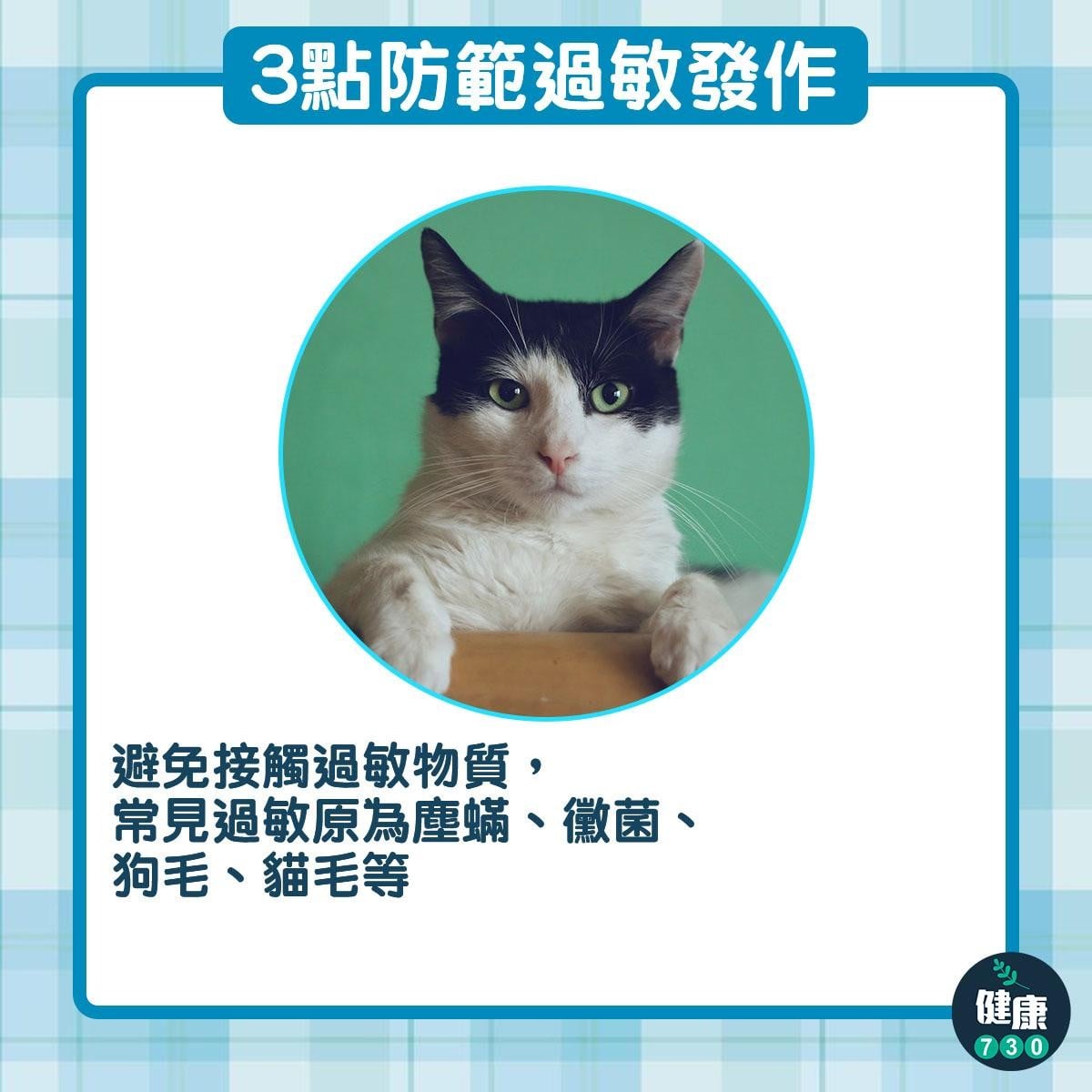 鼻敏感/哮喘/濕疹預防方法，包括避免接觸貓毛、狗毛等（am730製圖）