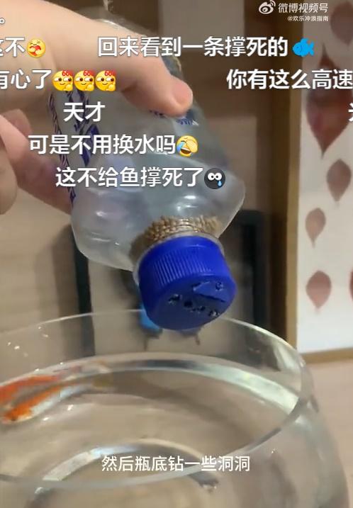 繩子倒吊一個裝著飼料的膠樽,然後在瓶蓋上開了幾個窿。(微博)