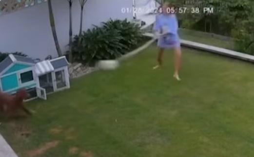 Rosie也很害怕,與蛇保持距離,卻不願放手,亦顯得不知所措。(YouTube)