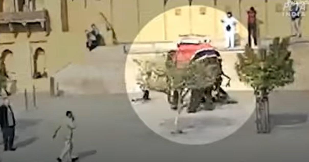 象背上的遊客跌落地上,女遊客亦倒地。(互聯網)