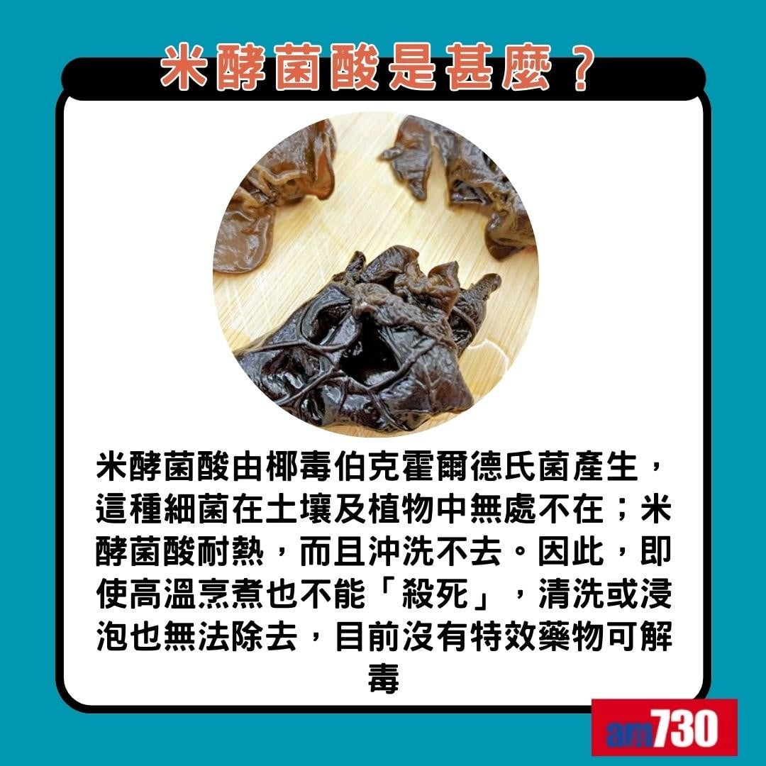 米酵菌酸是甚麼|(am730製圖)