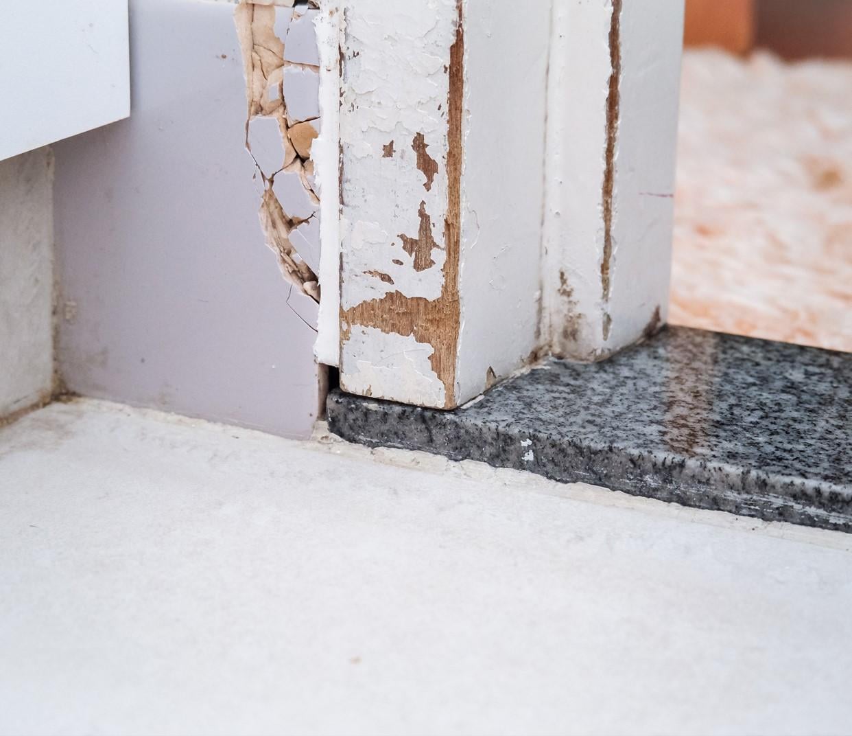 滅蟻方法丨找出螞蟻的出入口,再貼上膠帶或相應的材料修補牆壁缺口