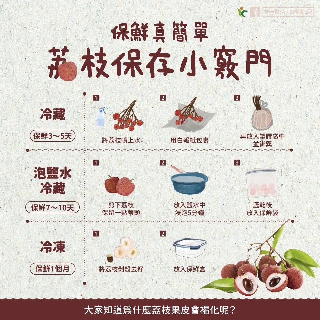 荔枝｜保存方法。