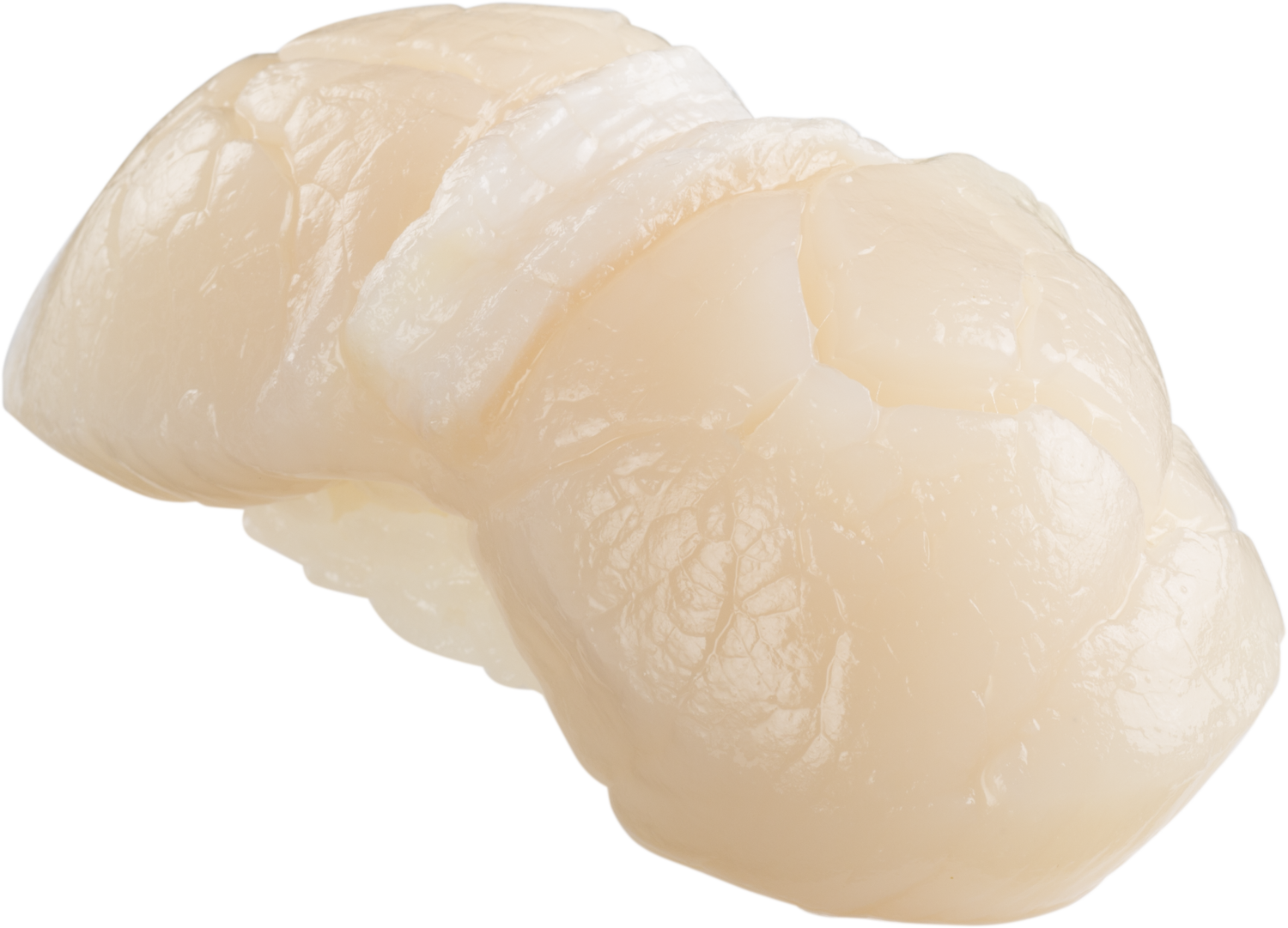 特大帆立貝-29元