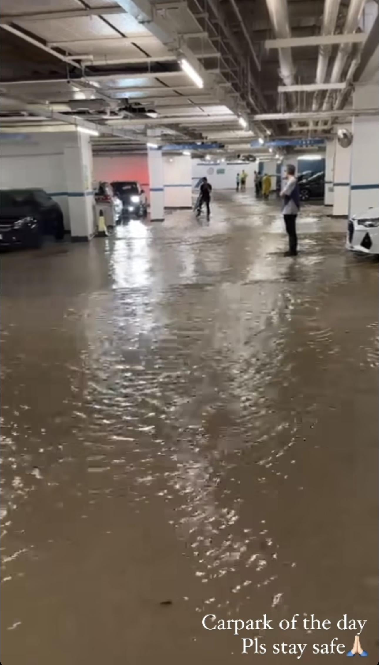 車主望住名車感無奈 。