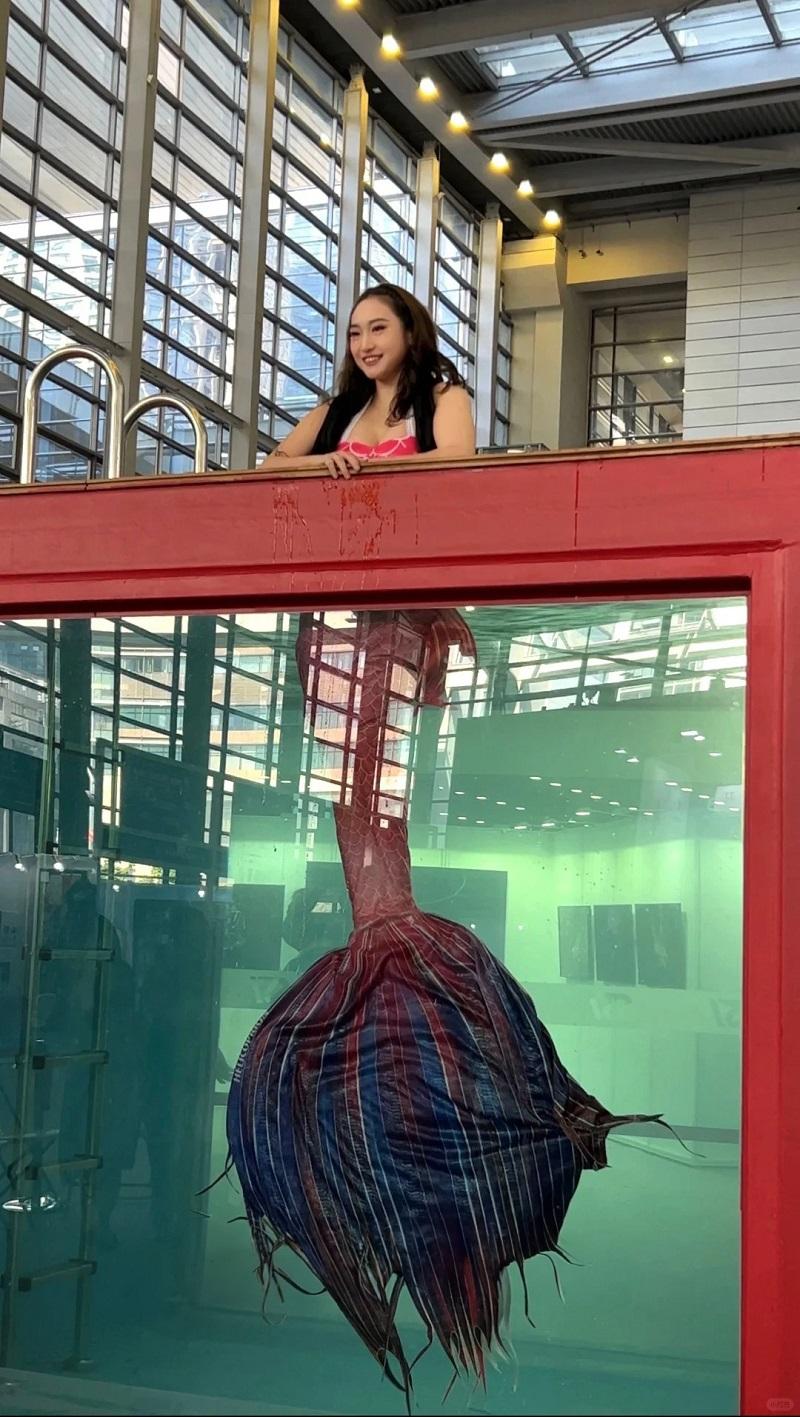 互動體驗—海洋保育專區