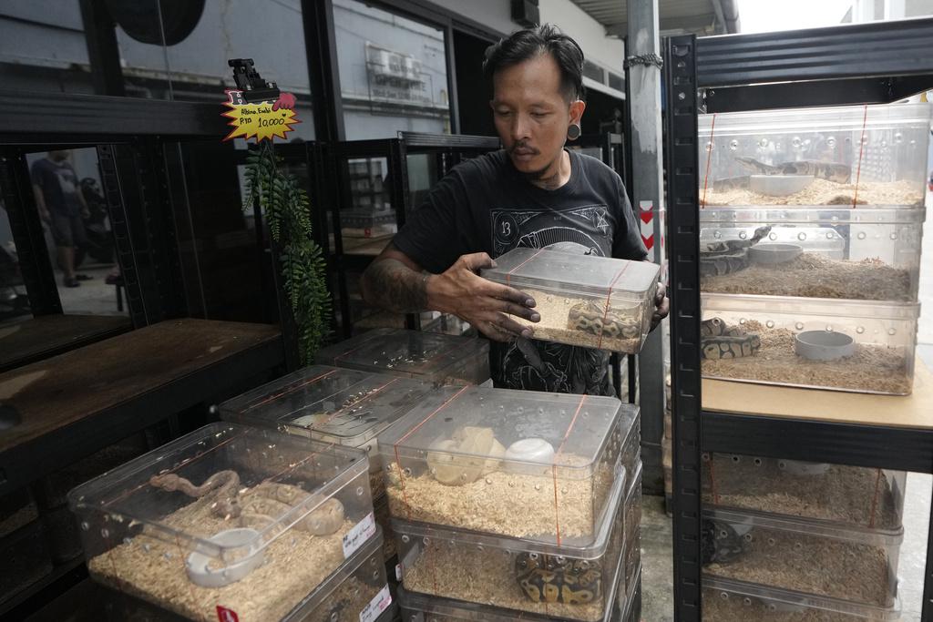 曼谷翟道翟市場發生火警。(美聯社)