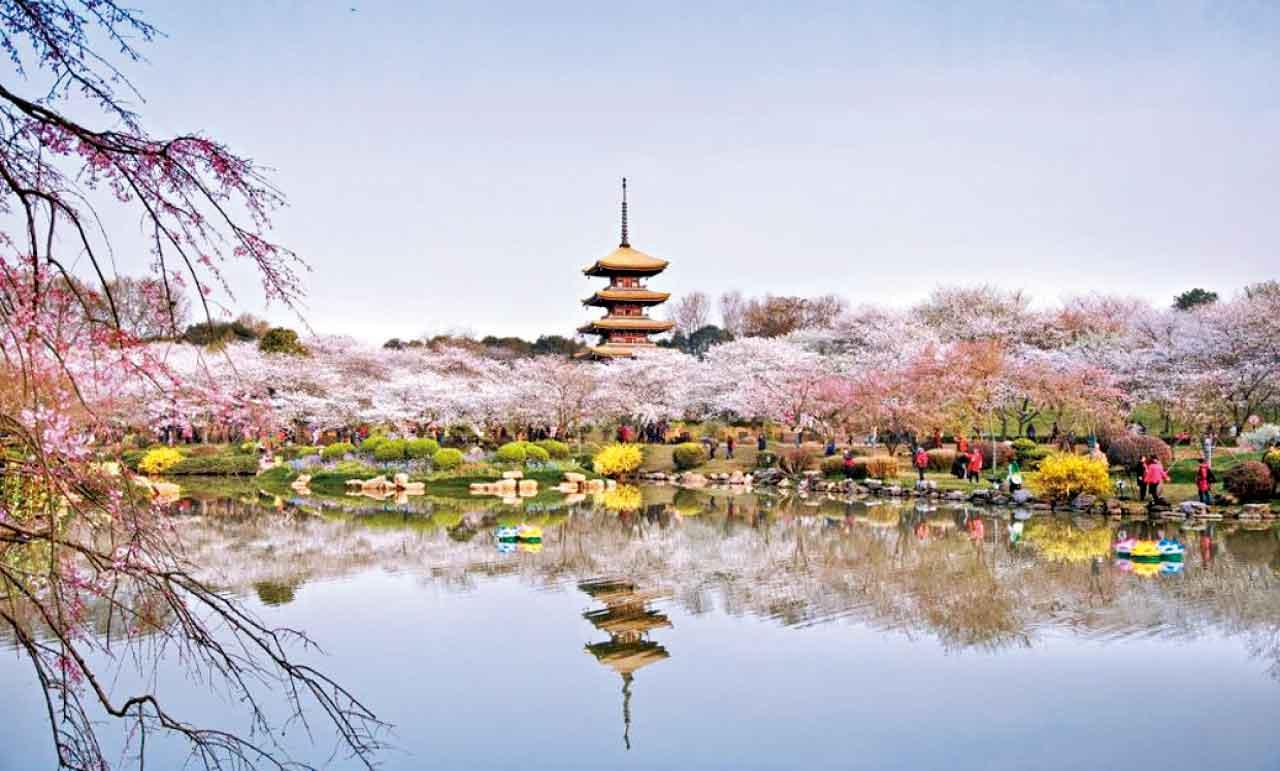 旅遊