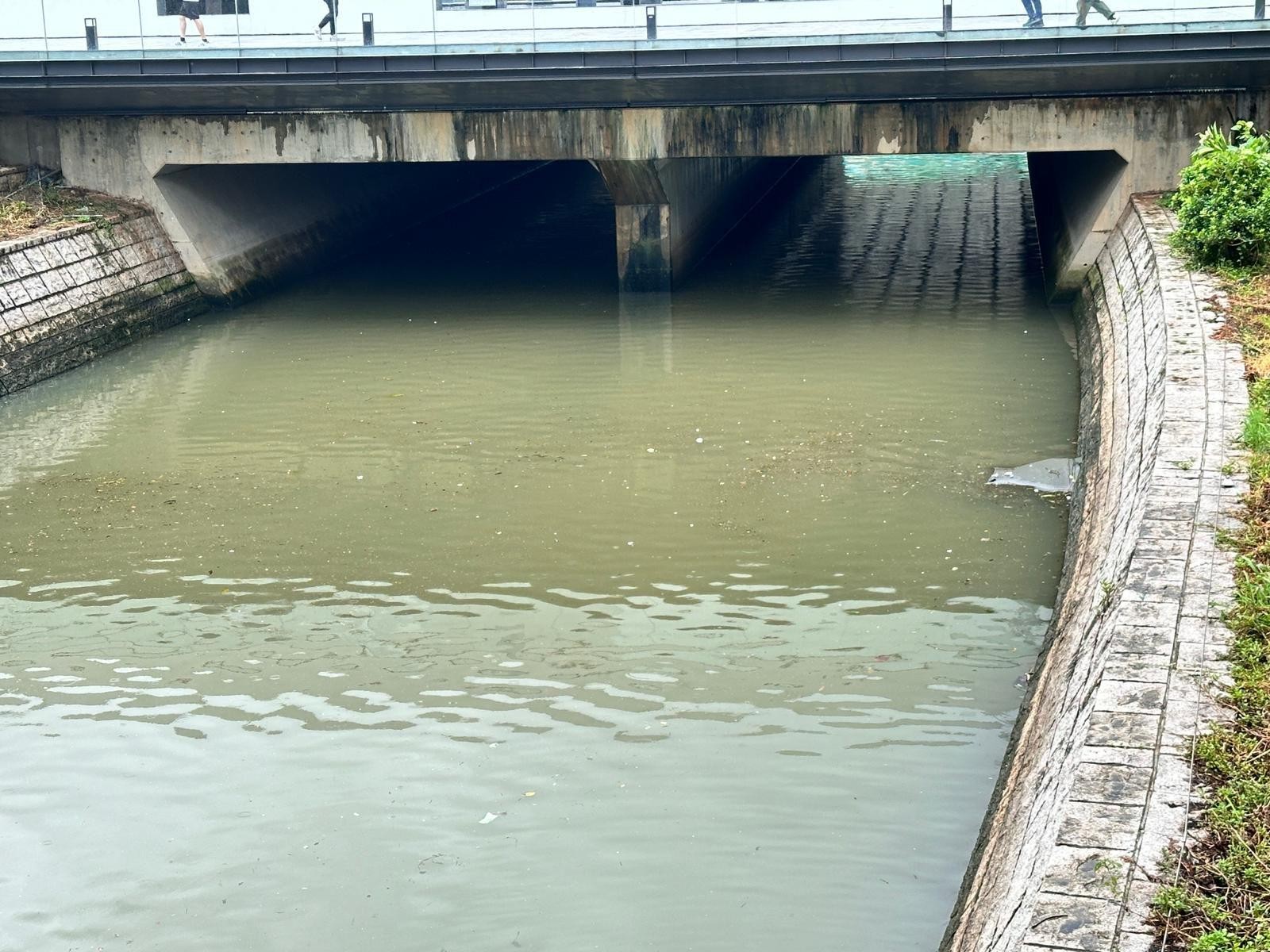 啟德河傳出惡臭，居民路過感到頭暈噁心。（九龍城區議員林博提供）