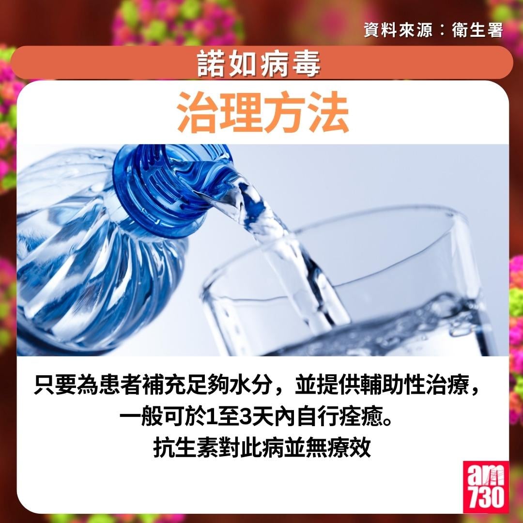 諾如病毒症狀/潛伏期/治理/預防方法一文睇清|治理方法(am730製圖)