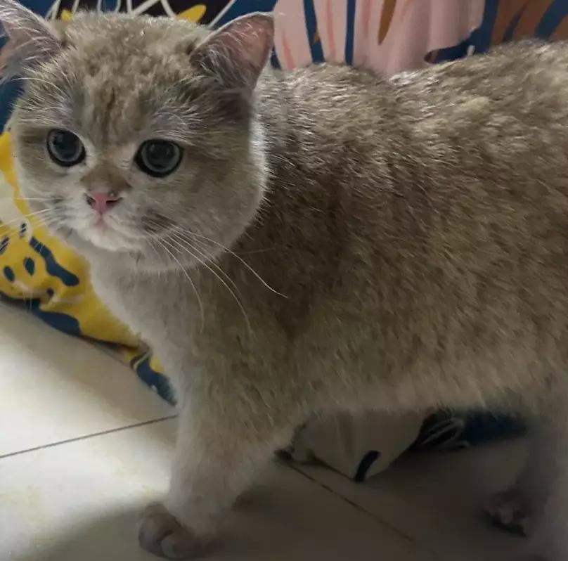 圖片來源:小紅書@金勾釣