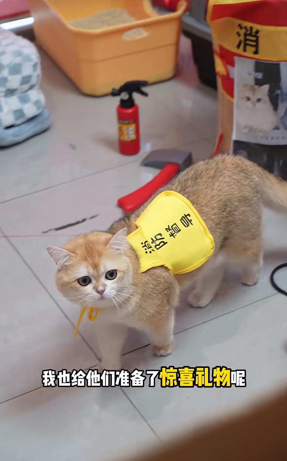 圖片來源:小紅書@金勾釣