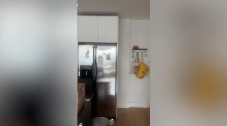 達戈斯蒂尼家裡的冰箱與節目裡的同款。(互聯網)