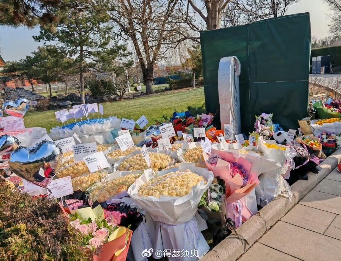 不少粉絲都到周海媚北京的墓園拜祭,進行悼念。