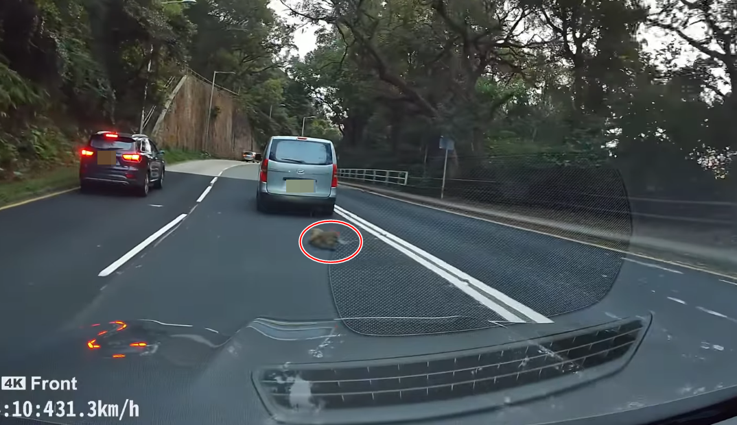 (@fb車cam L(香港群組)/Alan Pang影片截圖)