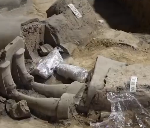 秦兵馬俑二號坑首發現將軍俑,有指身披彩色魚鱗甲。