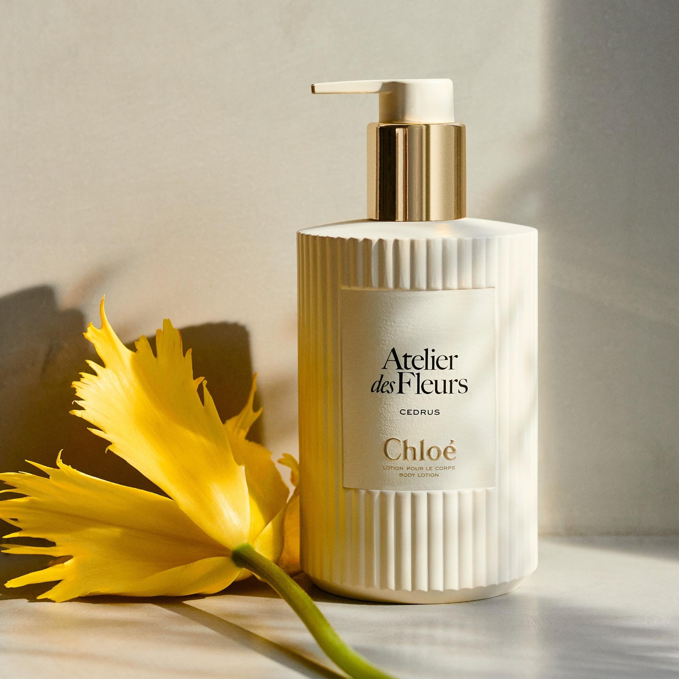 Chloé 芳香潤膚露 $640/300ml 