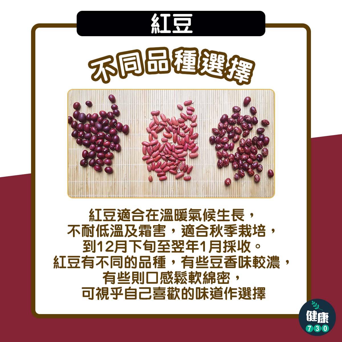 紅豆功效|不同品種選擇(am730製圖)