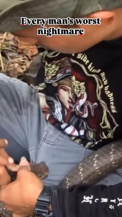 巨蛇緊緊咬住褲襠左邊位置。(互聯網)