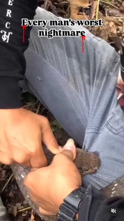 巨蛇緊緊咬住褲襠左邊位置,似乎放出毒液。(互聯網)