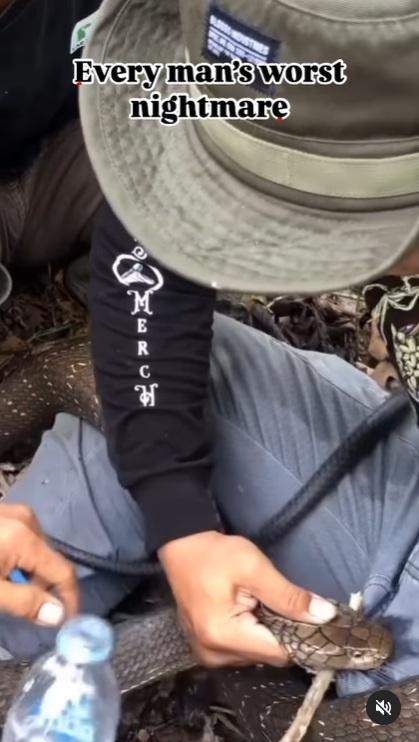 友人用樹枝穿過蛇口,再向蛇頭淋水。(互聯網)