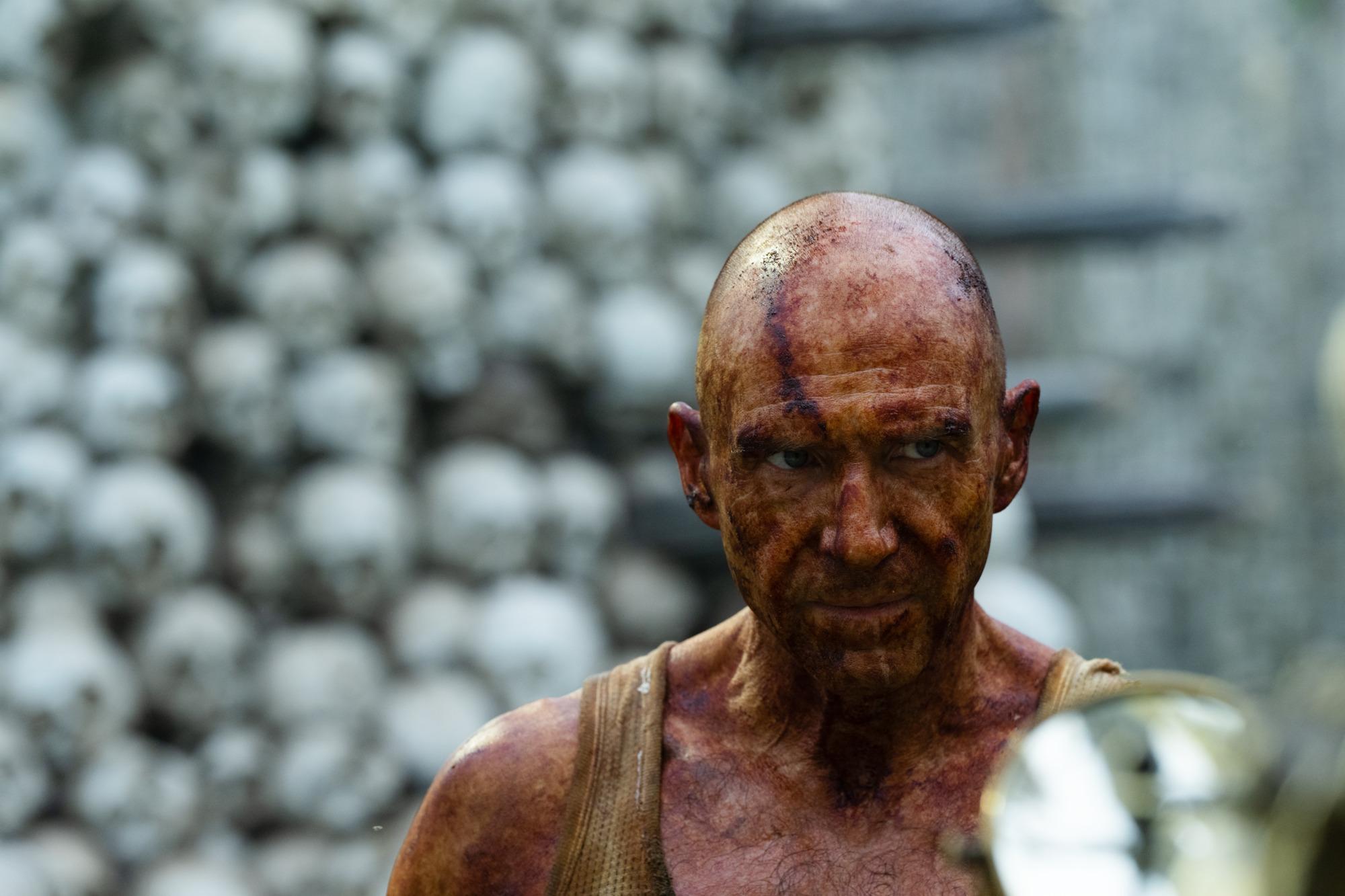 賴夫費恩斯飾演關鍵角色。